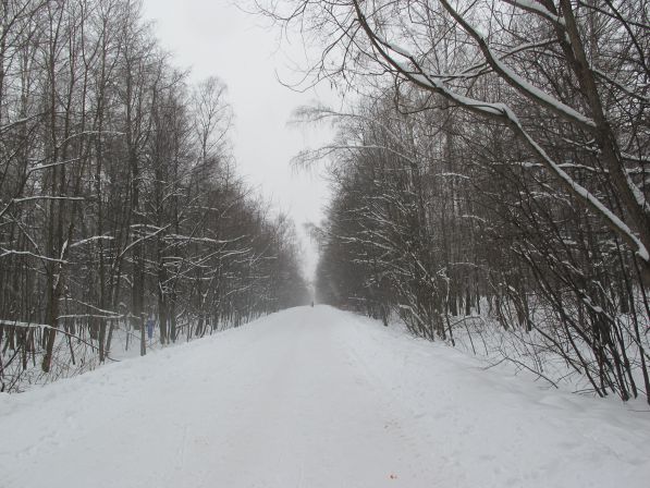 ����������    ������.  2013  ���