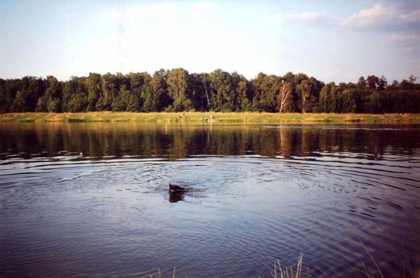 ��������� �������� 1997 ���.