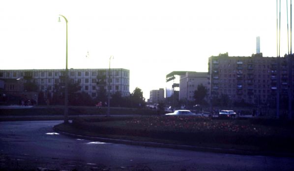 ,    1981.
