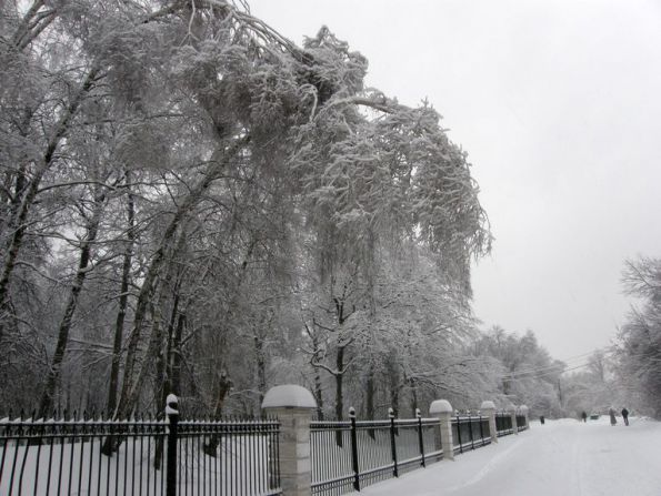 �������  �����  2010  ����.