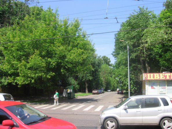 �����������  �����.  2009  ���