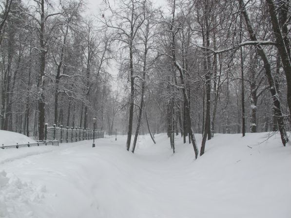 ��������  �����  �����  2013  ����