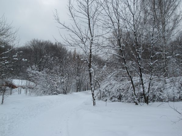 ������  �������������  ������   2013  ���