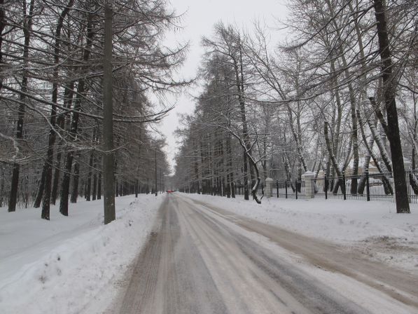 ������������  �����.  2013  ���
