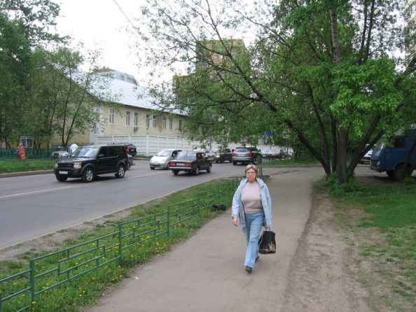 ���������  �����  2008  ���