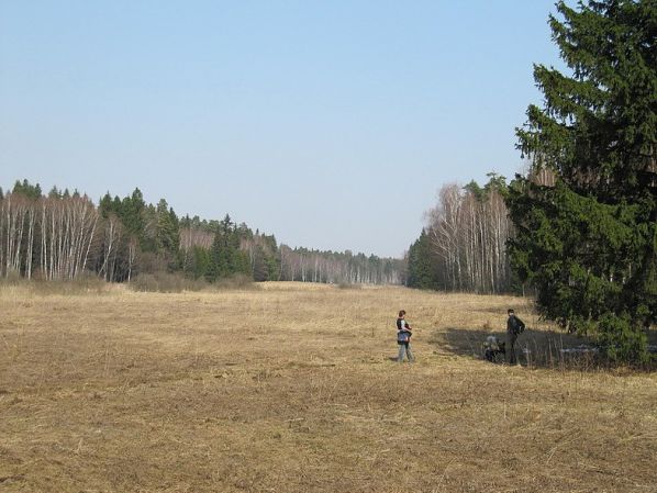 ������� ������.  2010  ���