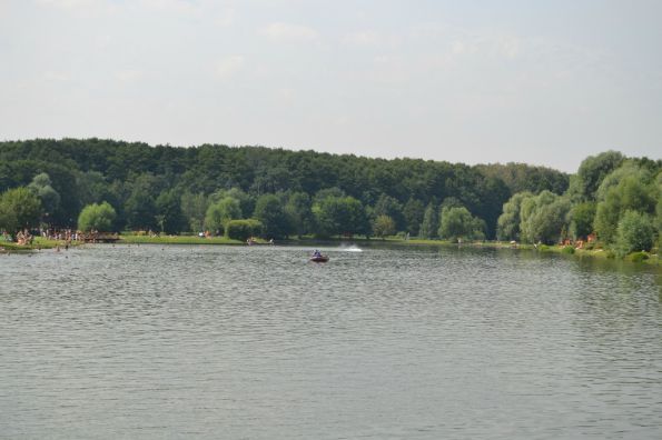 ���������  �����  2012  ���