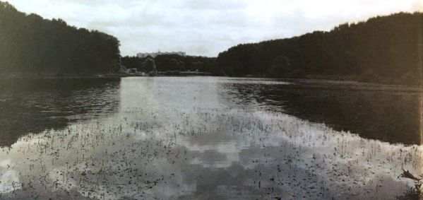 Нижний Терлецкий (Северный) пруд 1993г.