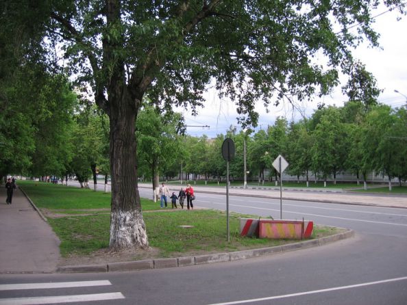 3-�  �����  ���������  ����.  2008  ���