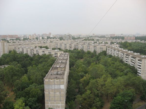 �������  �  2010  ����
