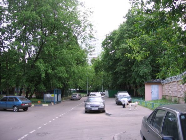 �����  �������  2008  ���