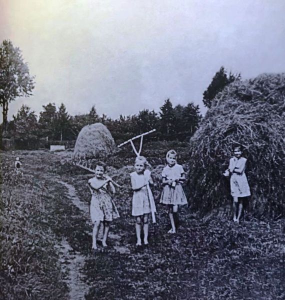 Юные жительницы села Ивановское на сенокосе 1965г.