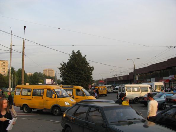 ���������  �����.  2009  ���