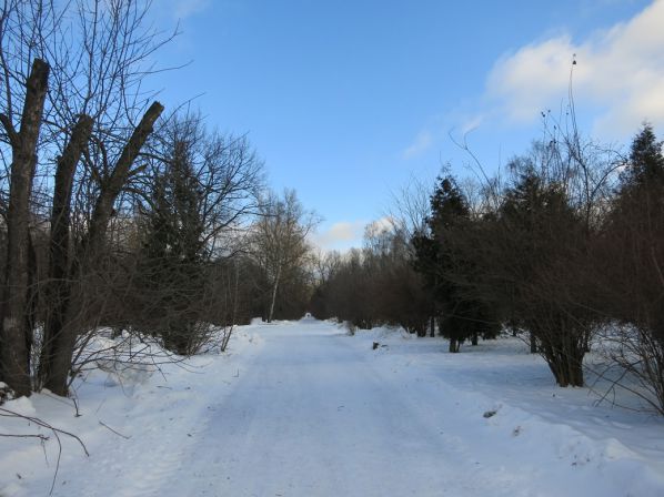 ������ 1-� ���������� �������� �� ������� ������� �����. ������� 2013 ���