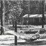 Парк Сокольники.  1935-1940 г