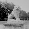 Скульптура  Льва   в  партере  кусковского  парка.  1976  год