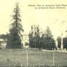 Большая каменная Оранжерея в 1904 г. Открытка