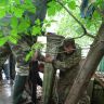 ����� ������ � ������� �������. �������� 2013 ����.