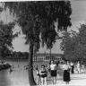 Большой залив Дворцового пруда 1956 г